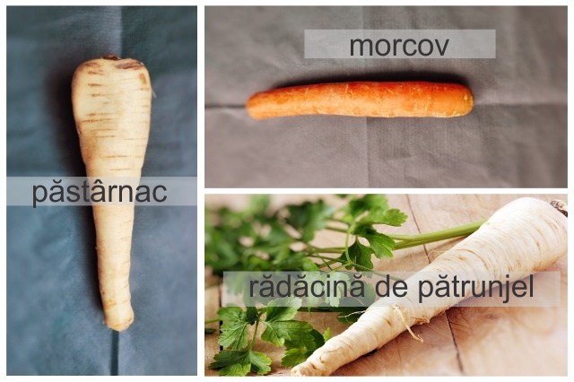 diferența dintre păstârnac, morcov și rădăcină de pătrunjel