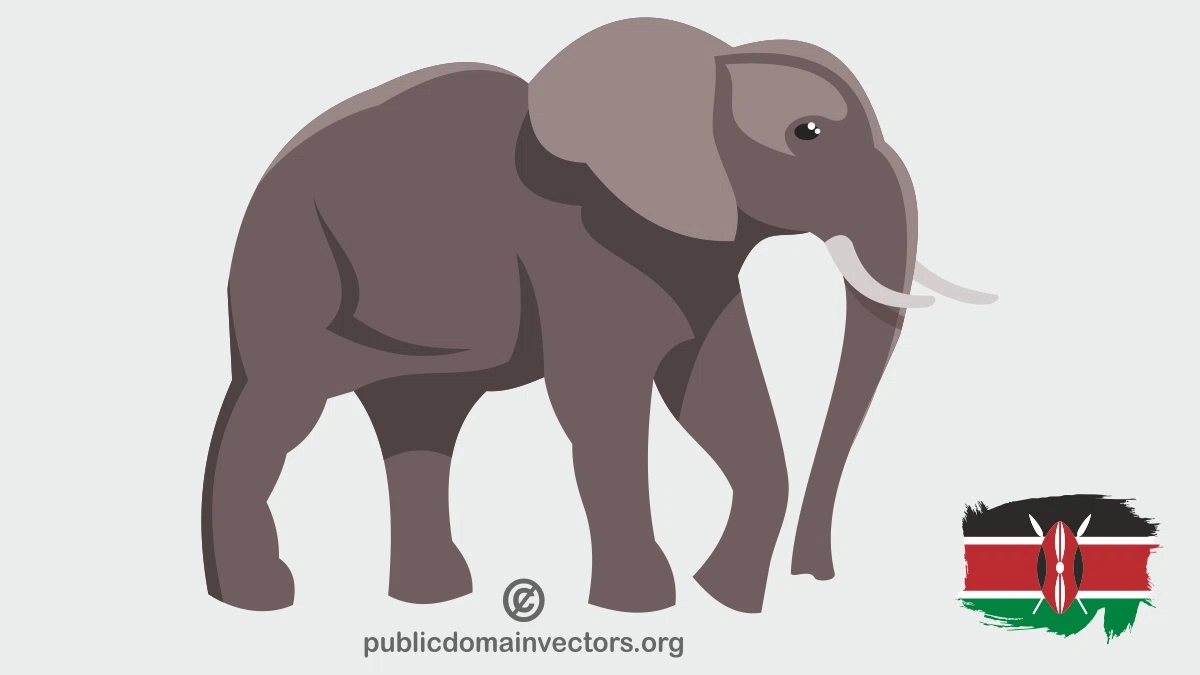ilustratie vectoriala elefant